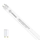 Ledvance Tube LED T8 Performance (EM/Direct 230V) Standard Output 17.9W 1700lm - 833 Food | 150cm - Équivalent 58W