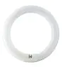 Osram T9 Lumilux Circline 32W - 840 Koel Wit | 30cm